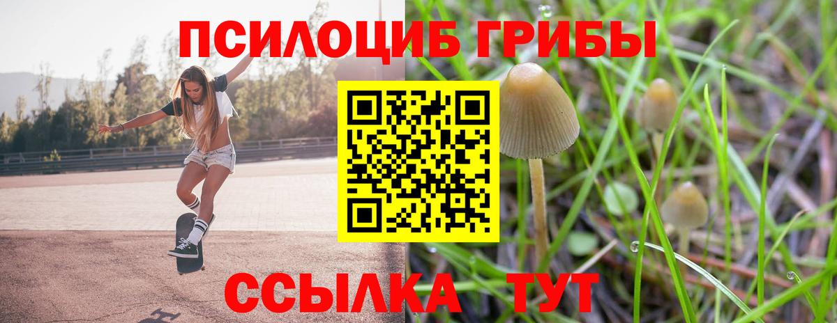 Псилоцибиновые грибы прущие грибы  Псилоцибиновые грибы прущие грибы  Вход с VPN  Чайковский 
