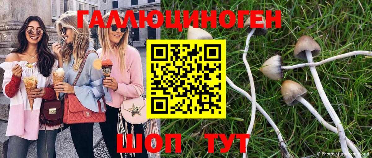 Галлюциногенные грибы мухоморы Чайковский